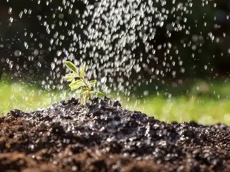 Instalação de sistema de rega agrícola